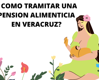 Como tramitar una pension alimenticia en Veracruz?